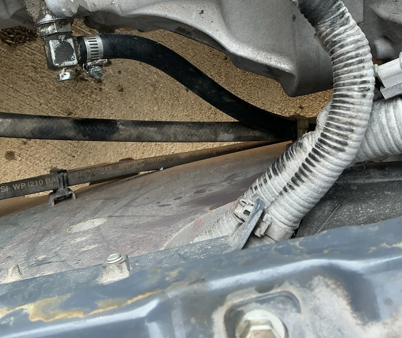 Transmission cooler line and clamp beneath a transmission case